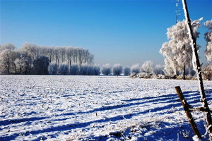 090109-wvdl-winter in HaDee  49 